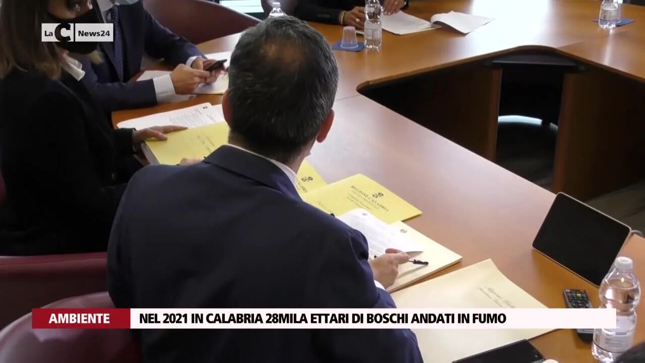 Nel 2021 in Calabria 28mila ettari di boschi andati in fumo