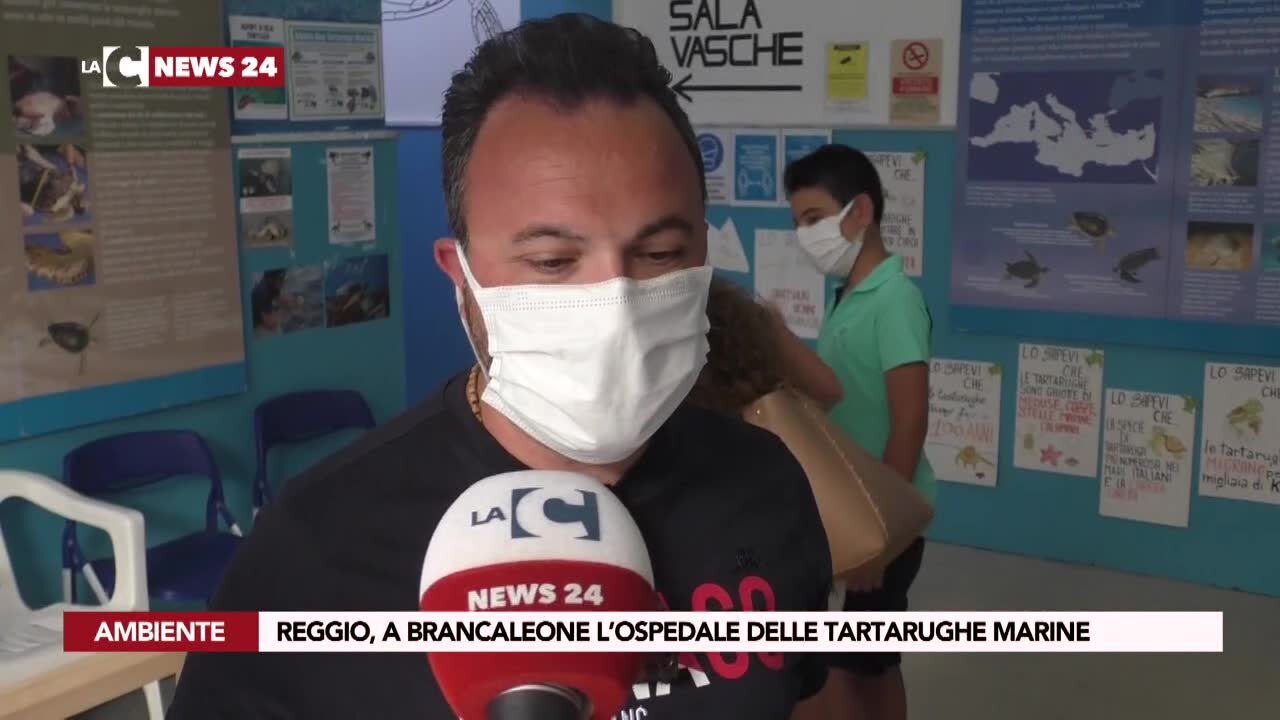 Reggio, a Brancaleone l’ospedale delle tartarughe marine