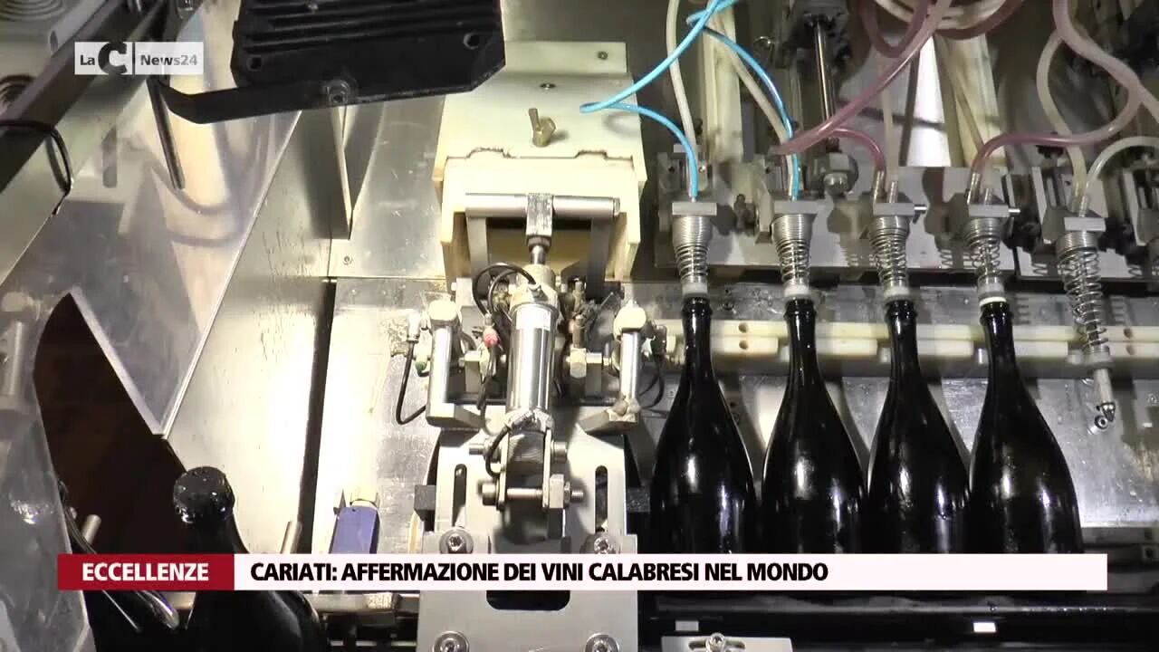 La sboccatura dello spumante IGreco riunisce esperti e operatori del settore a Cariati