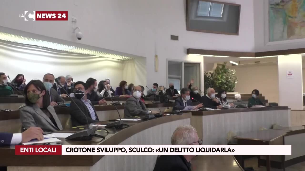 Crotone Sviluppo, Sculco: «Un delitto liquidarla»