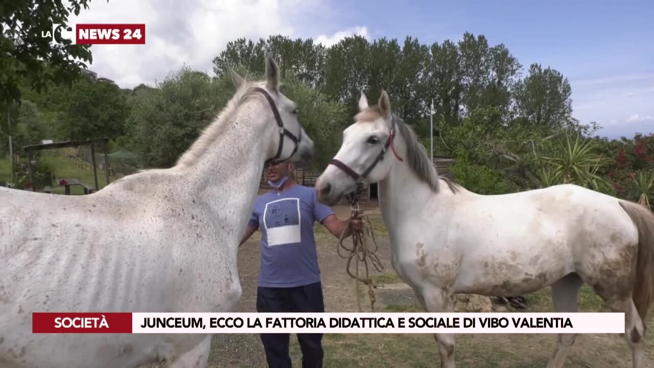 Junceum, la fattoria didattica e sociale di  Vibo Valentia