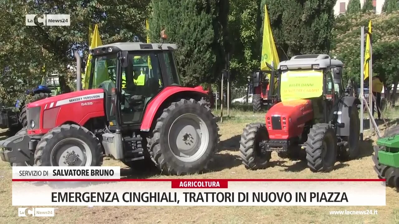 Emergenza cinghiali, trattori di nuovo in piazza