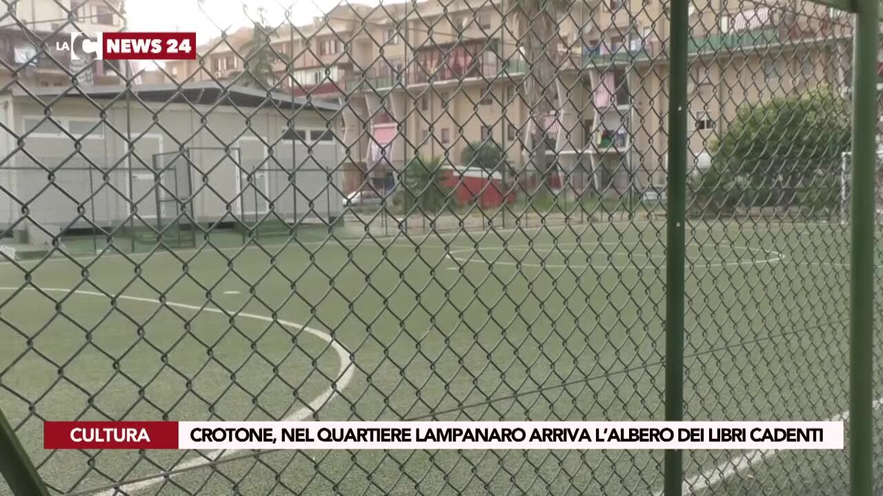 Crotone, nel quartiere Lampanaro arriva l’albero dei libri cadenti