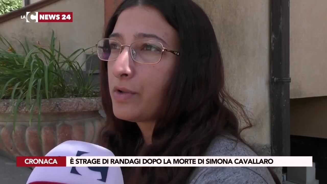 È strage di randagi dopo la morte di Simona Cavallaro
