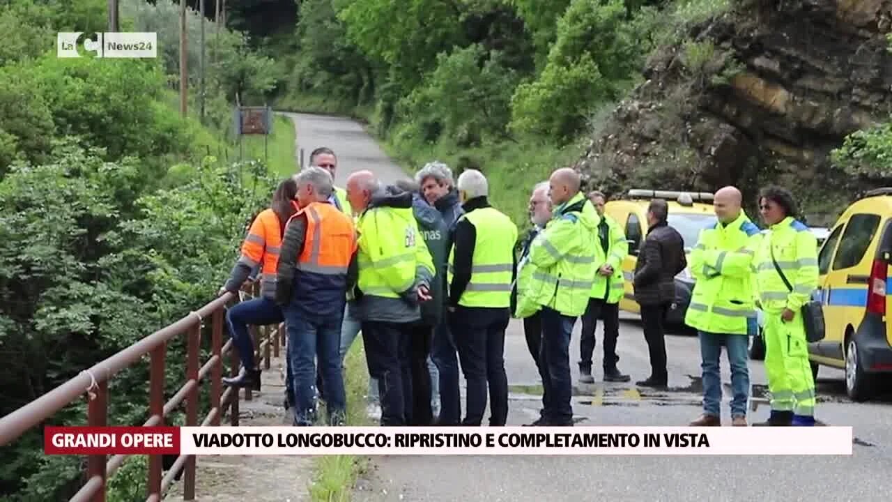 Viadotto Longobucco: ripristino e completamento in vista