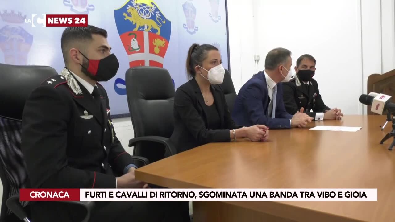 Furti e cavalli di ritorno, sgominata una banda tra Vibo e Gioia