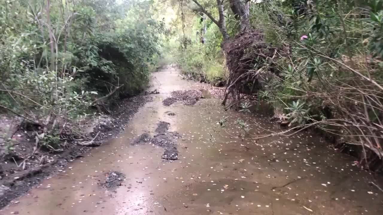 Scala Coeli, un mese dopo lo sversamento di percolato nel torrente galleggiano ancora chiazze (e dubbi)