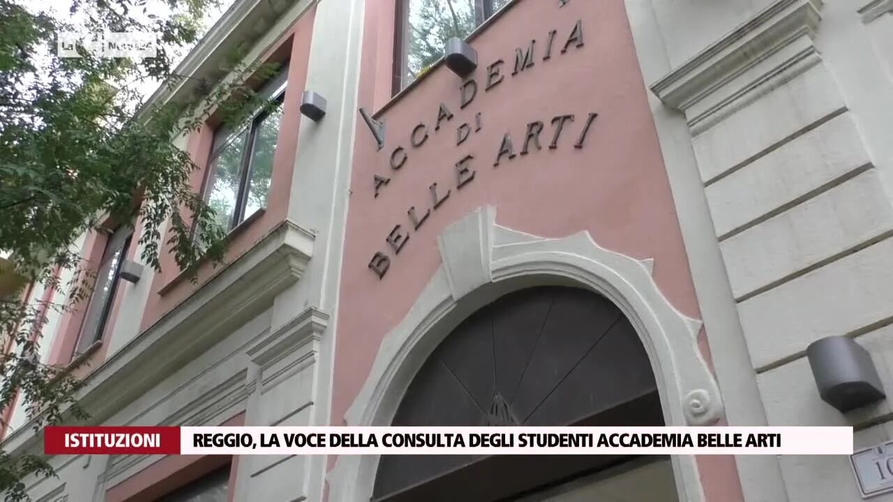 Reggio, la voce della consulta degli studenti accademia belle arti