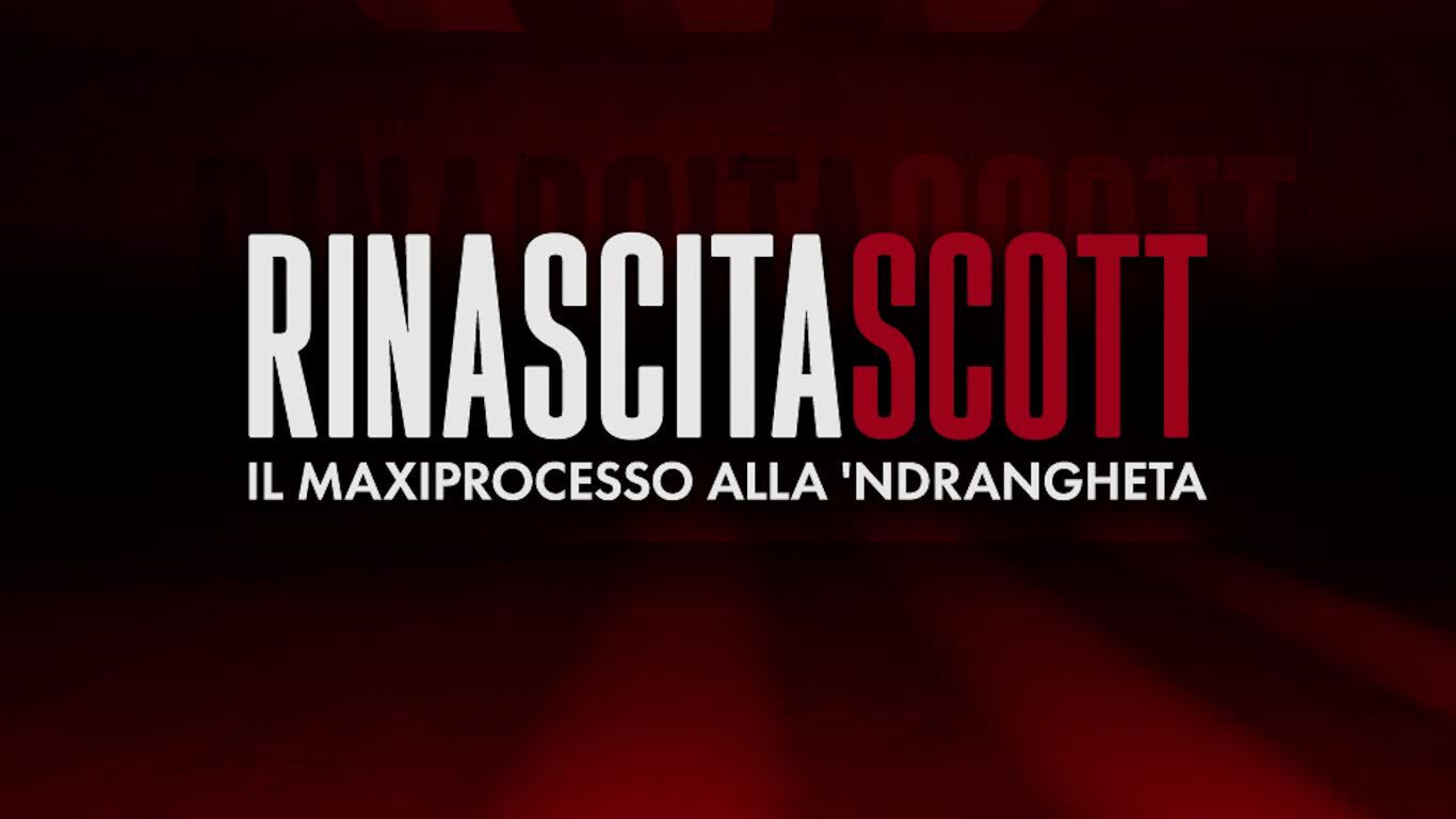 Le armi nascoste nei fustini di detersivo - Rinascita Scott