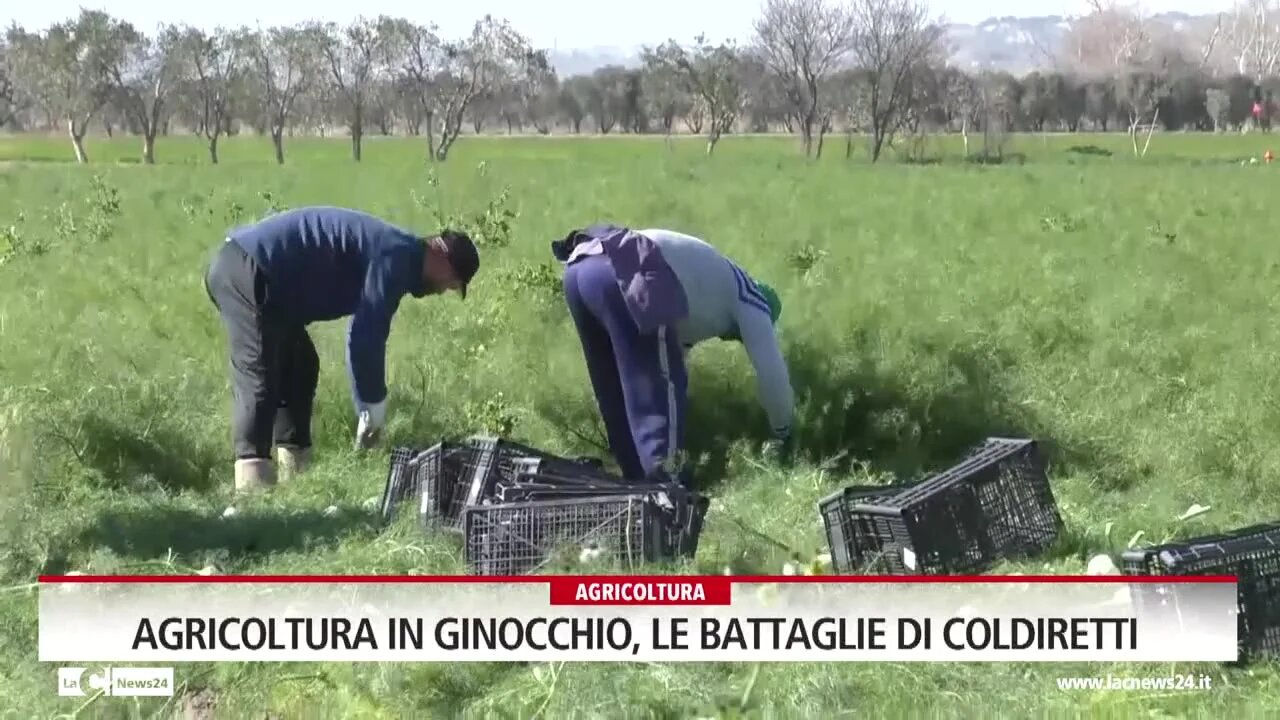 Agricoltura in ginocchio, le battaglie di Coldiretti