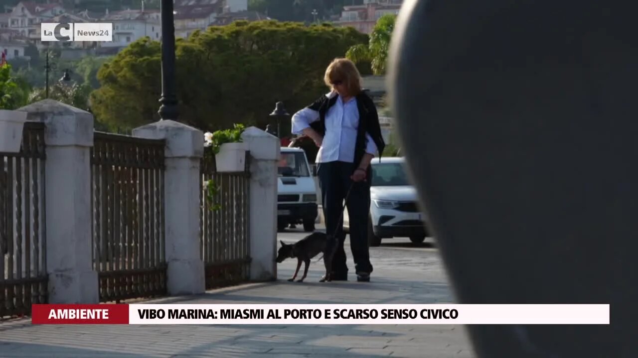 Vibo Marina: miasmi al porto e scarso senso civico