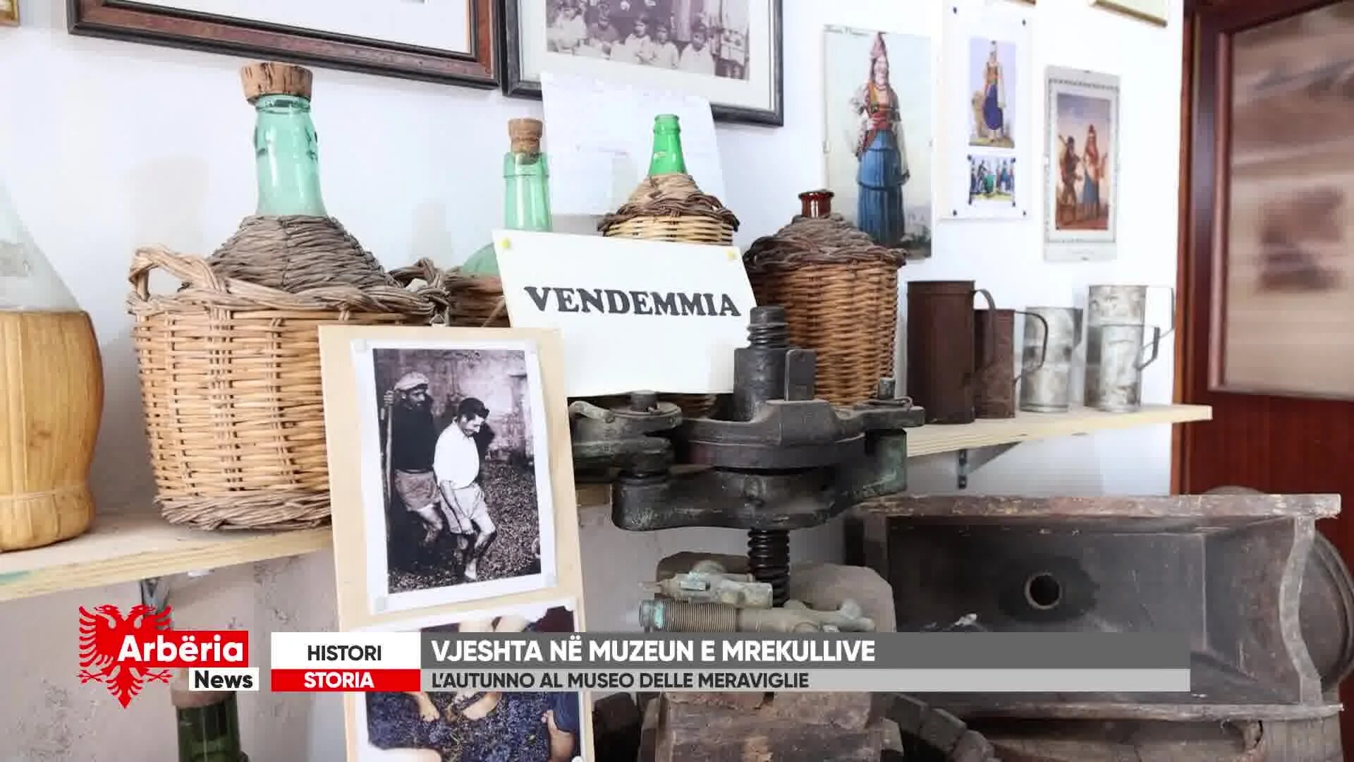 Arberia news - L'autunno al museo delle meraviglie