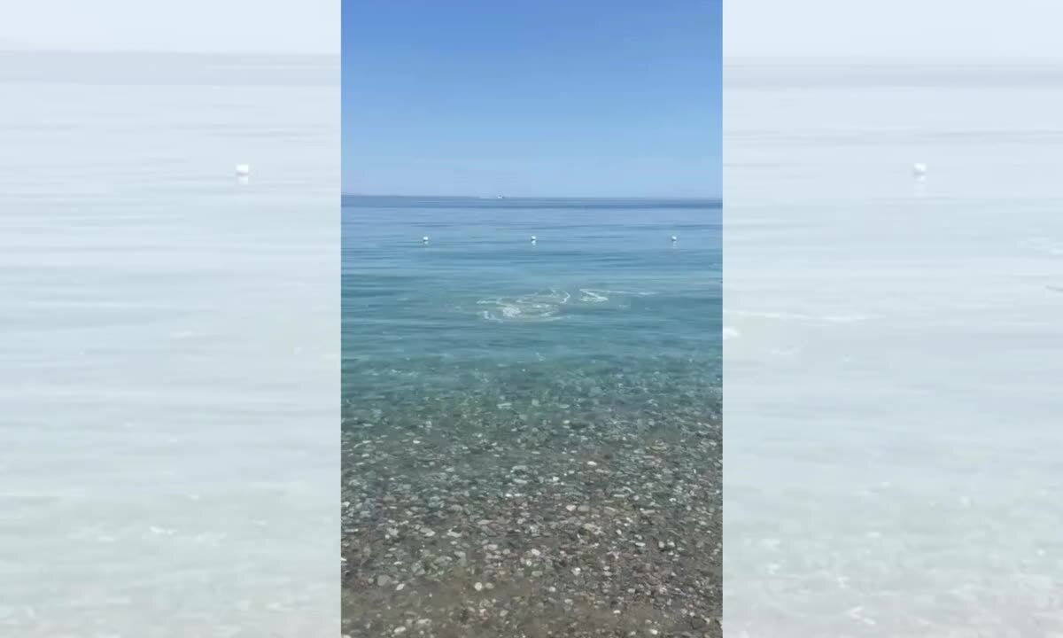 Scie in mare a Corigliano Rossano, il Comune rassicura: «Fenomeno naturale, mare sicuro e monitorato» | VIDEO