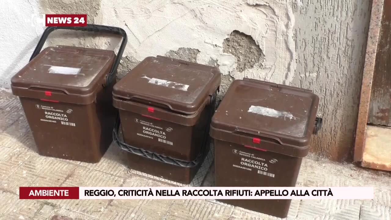 Reggio, criticità nella raccolta rifiuti: appello alla città