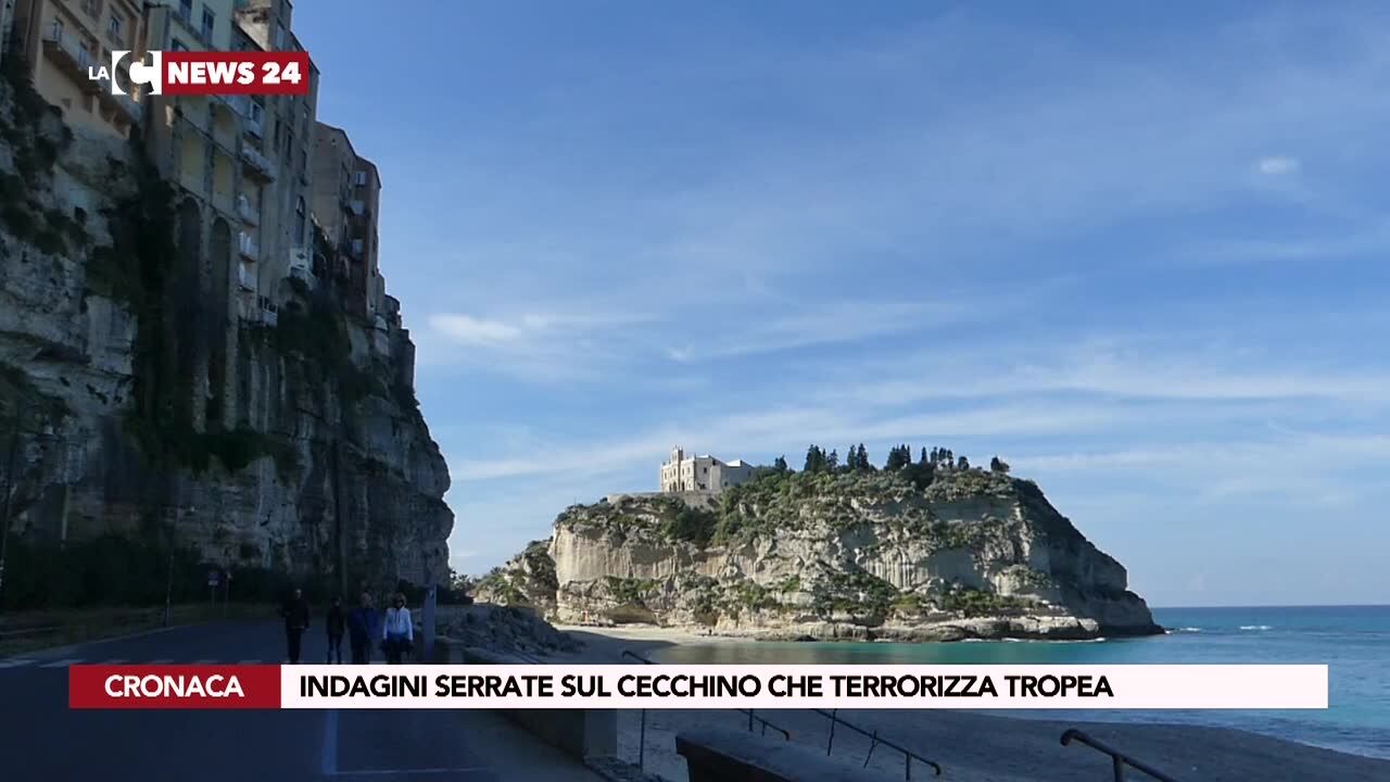 Indagini serrate sul cecchino che terrorizza Tropea