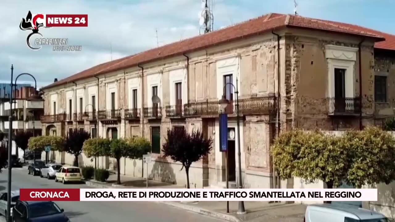Droga, rete di produzione e traffico smantellata nel reggino