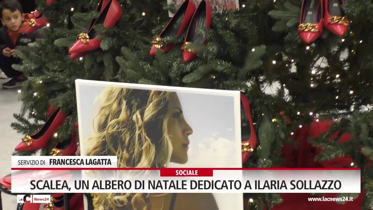 Scalea, un albero di Natale dedicato a Ilaria Sollazzo