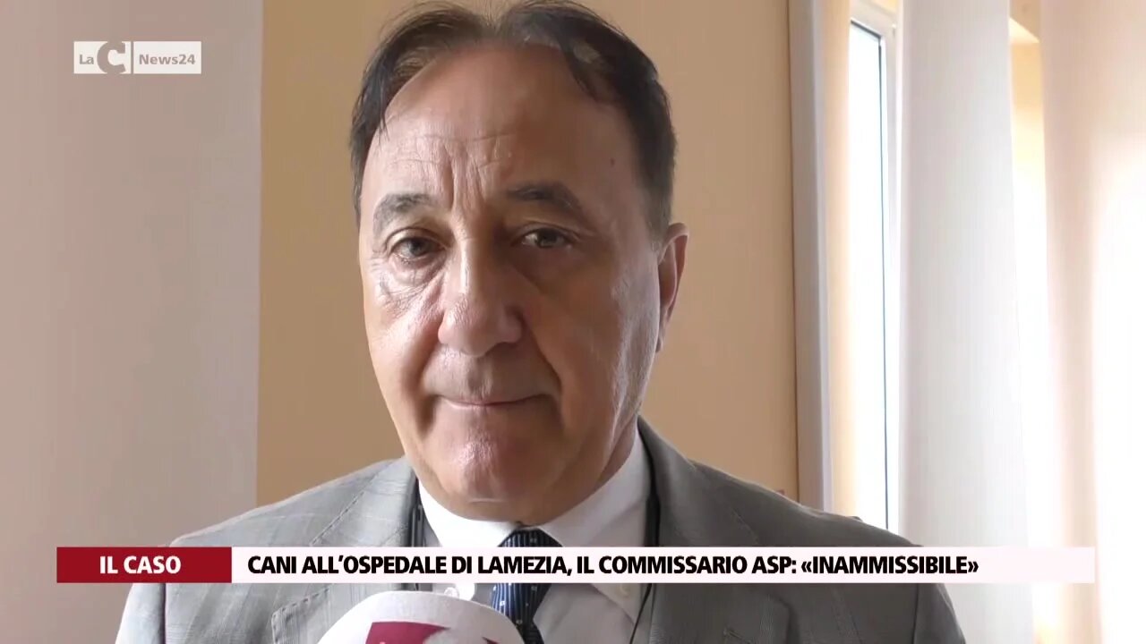 Cani all’ospedale di Lamezia, il commissario Asp: «Inammissibile»