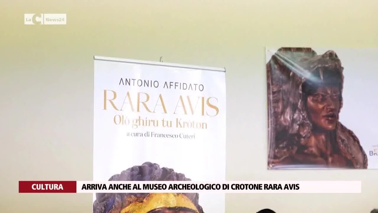 Arriva anche al museo archeologico di Crotone Rara Avis