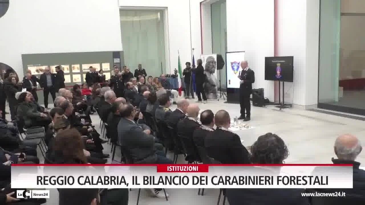 Reggio Calabria, il bilancio dei carabinieri forestali