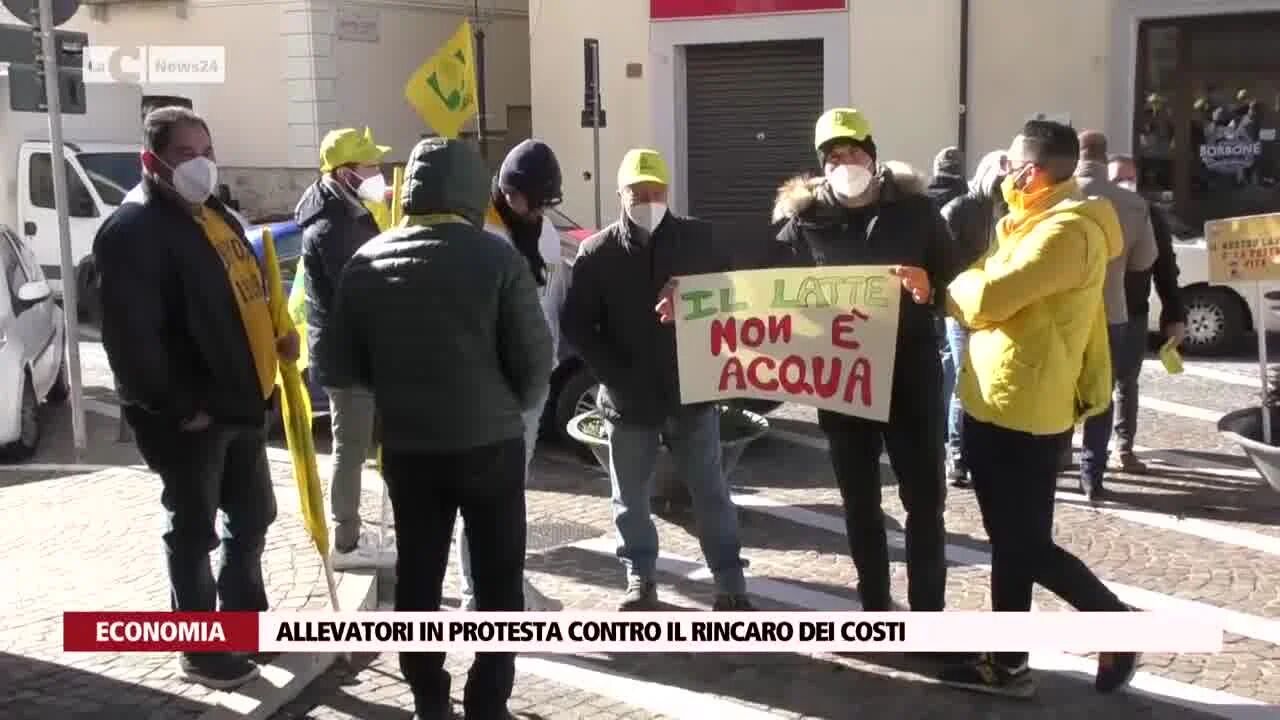 Allevatori in protesta contro il rincaro dei costi