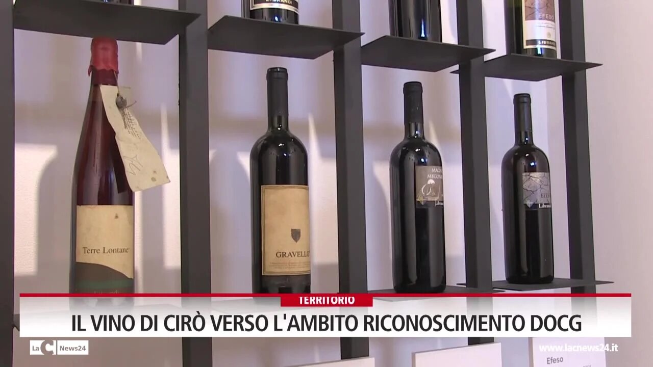 Il vino di Cirò verso l'ambito riconoscimento DOCG