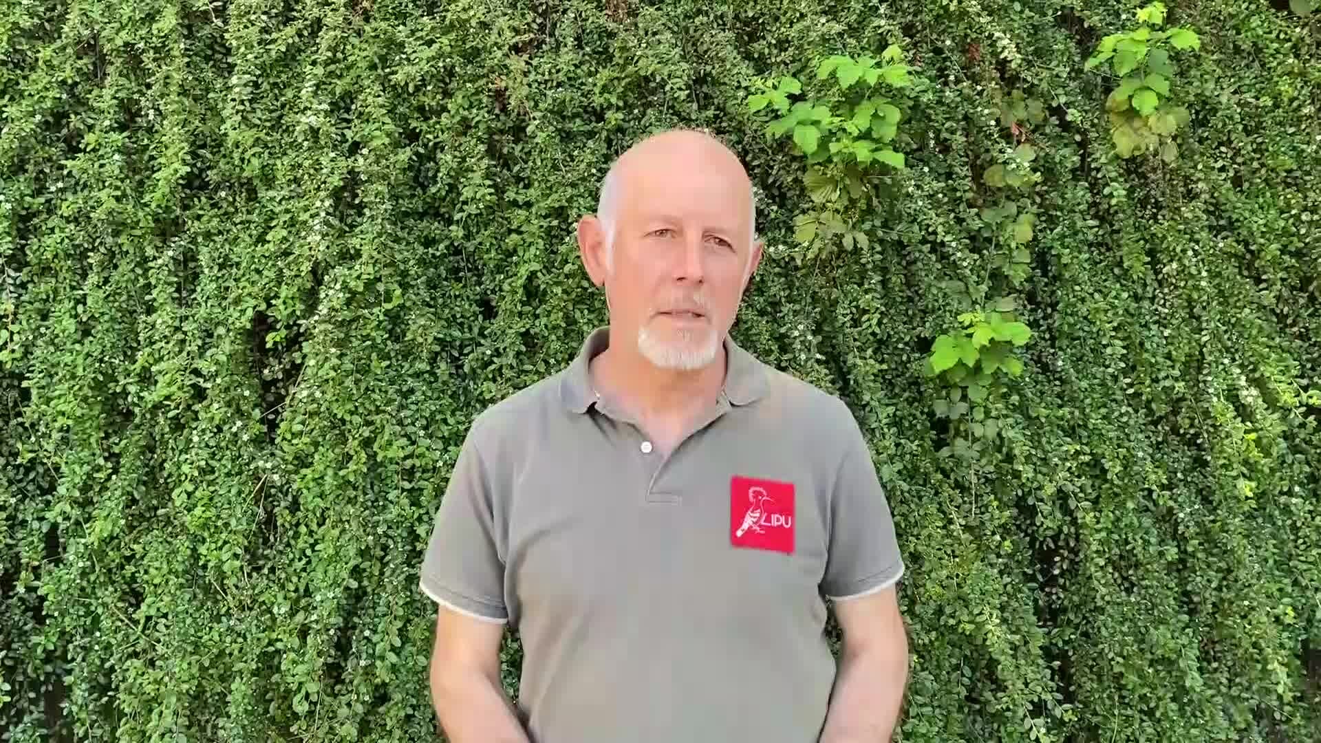 Lipu Rende, al via l'iniziativa \"Un nome per la cicogna\": inanellati i primi esemplari - VIDEO E FOTO