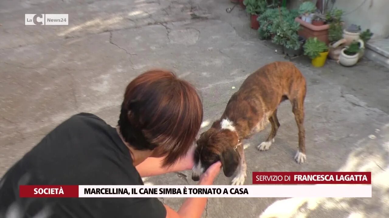 Marcellina, il cane Simba è tornato a casa