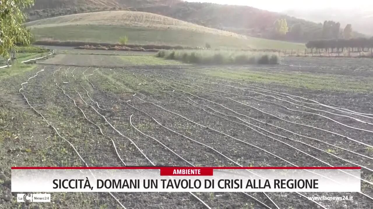 Siccità, domani un tavolo di crisi alla regione