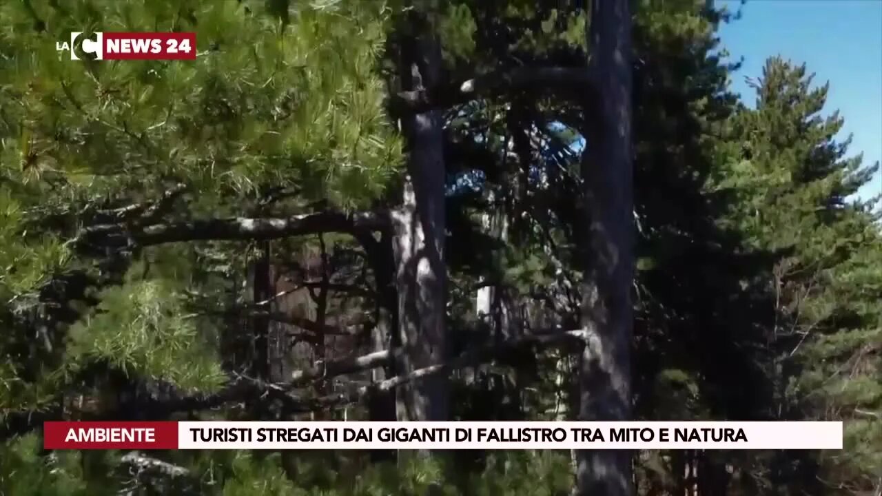 Turisti stregati dai giganti di Fallistro tra mito e natura