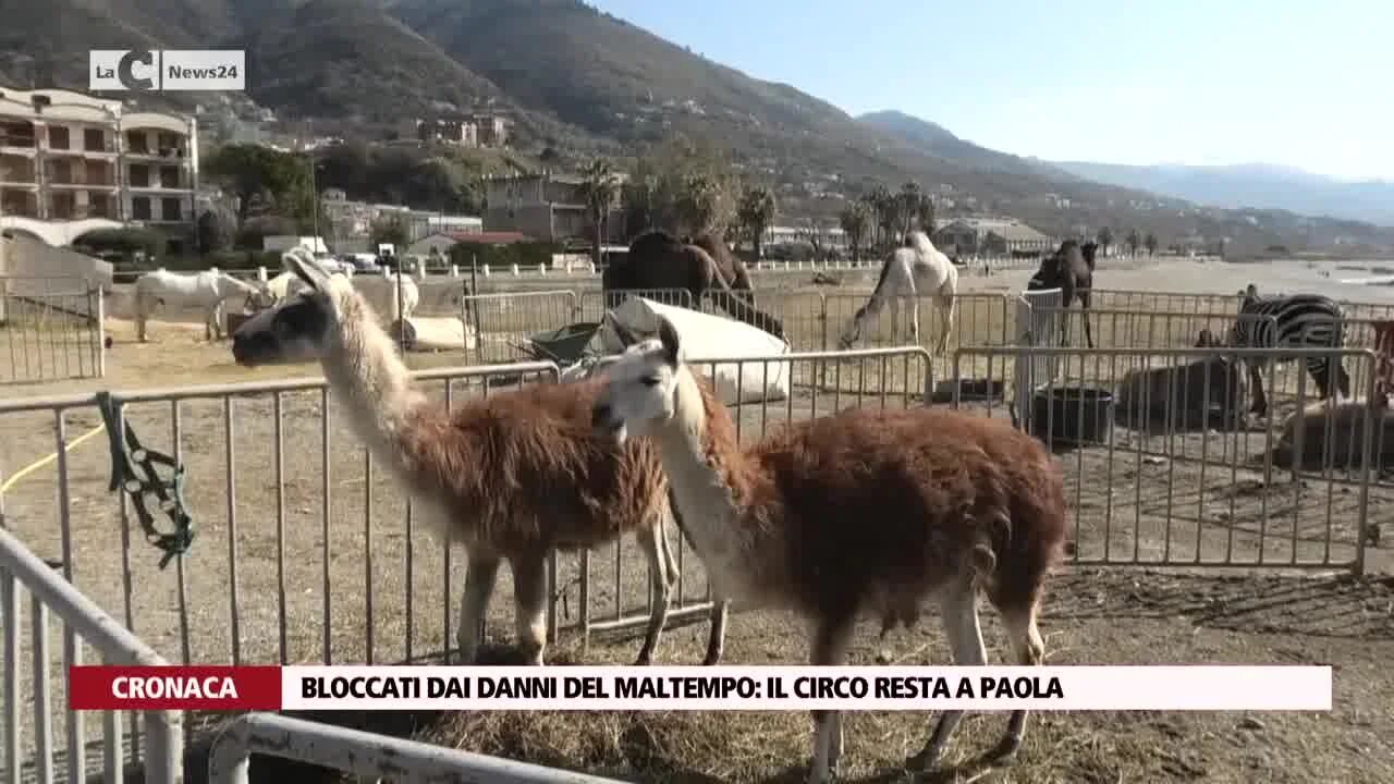 Bloccati dai danni del maltempo: il circo resta a Paola