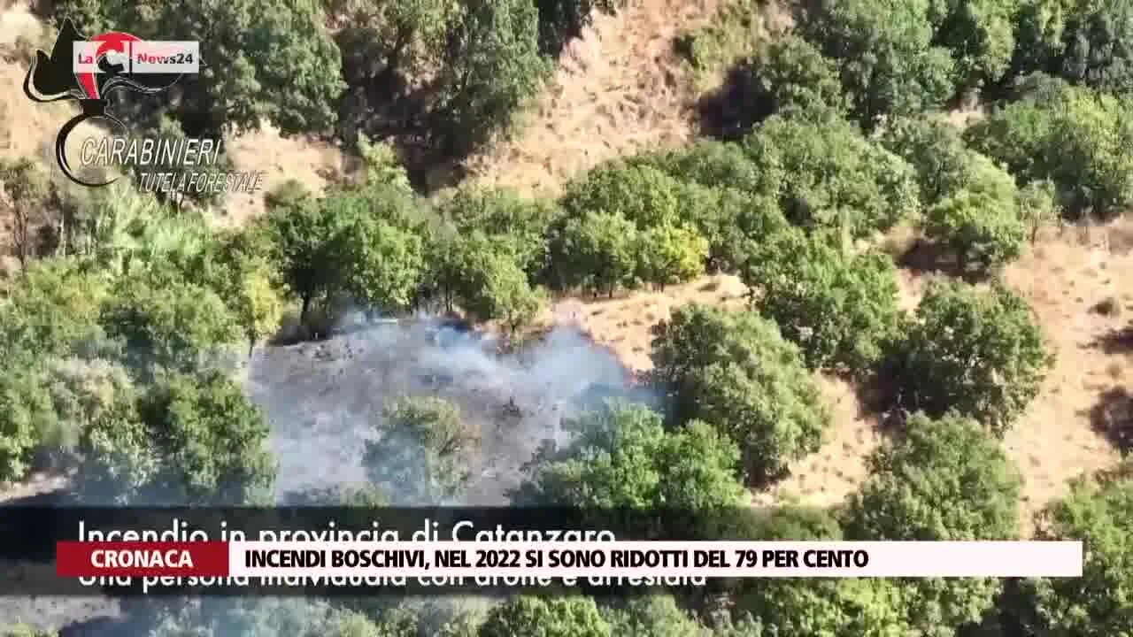 In Calabria incendi boschivi diminuiti del 79%: «Risultati incoraggianti, forte segnale dopo il 2021»