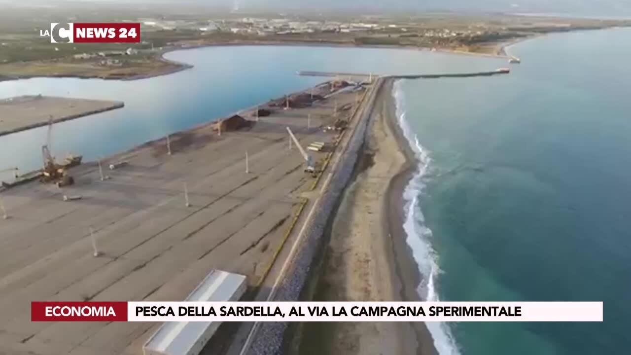 Pesca della sardella, al via la campagna sperimentale