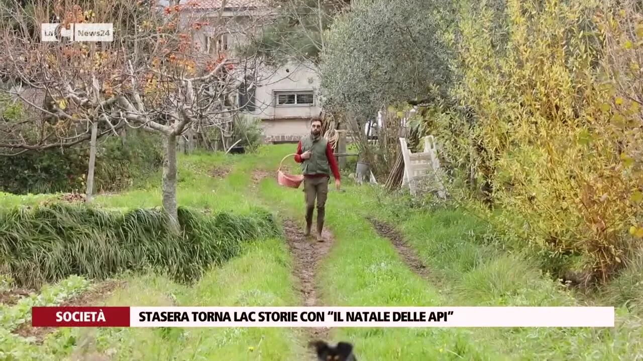 Stasera torna LaC Storie con “Il Natale delle api”