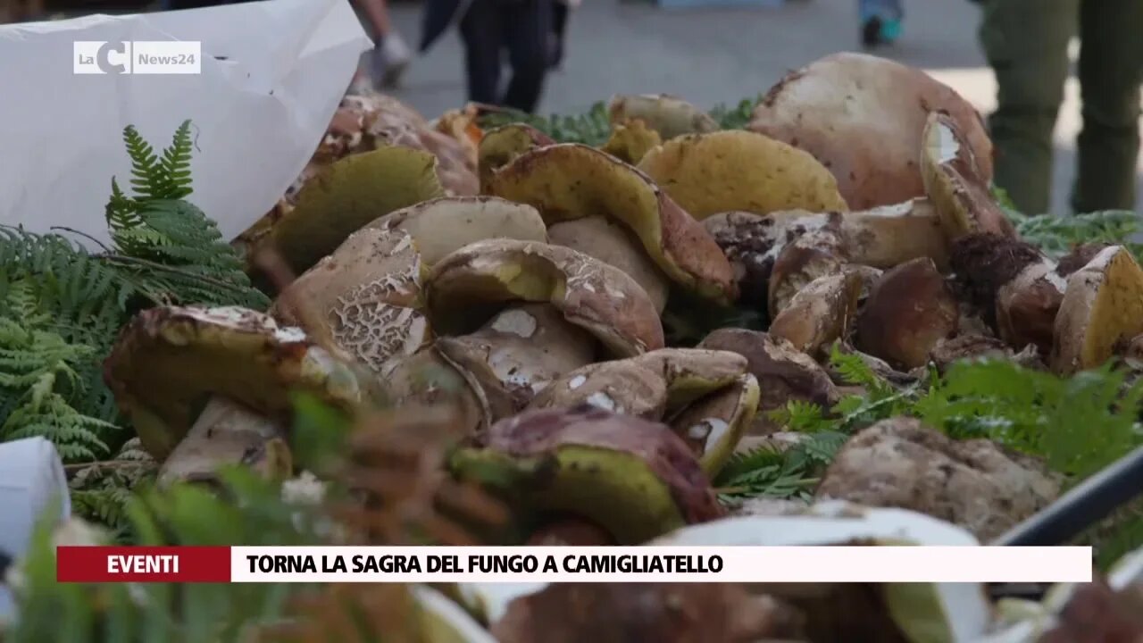 Torna la sagra del fungo a Camigliatello