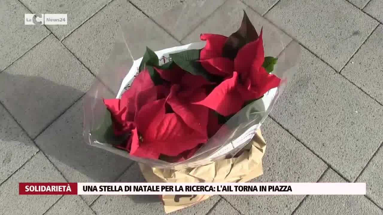 Una stella di Natale per la ricerca: l'Ail torna in piazza