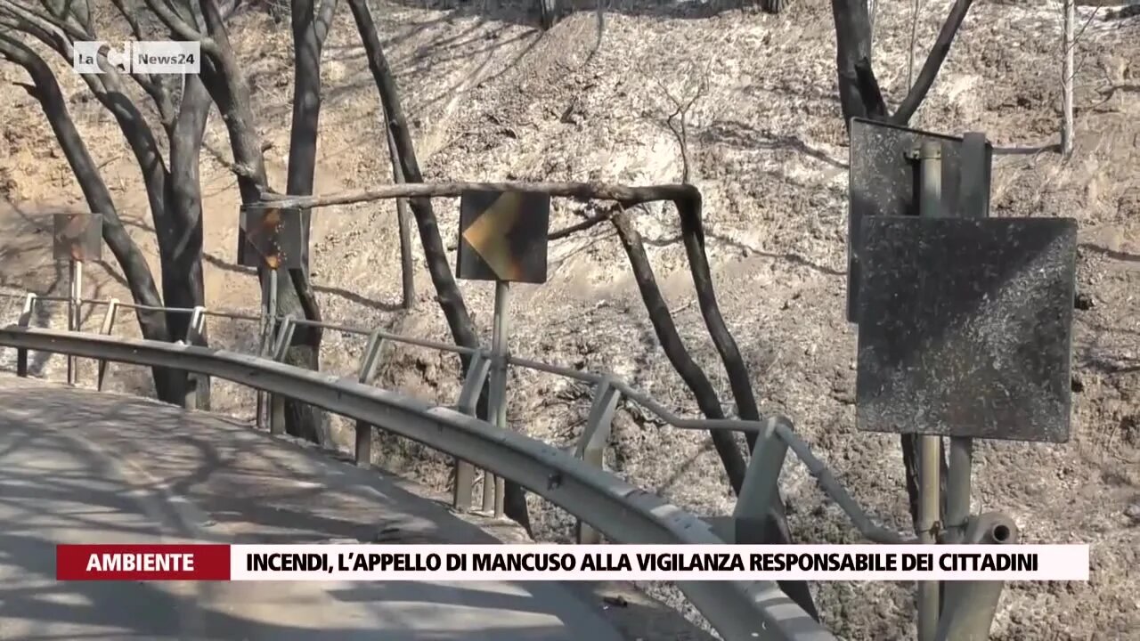 Incendi boschivi, l’appello di Mancuso alla «vigilanza responsabile dei cittadini»