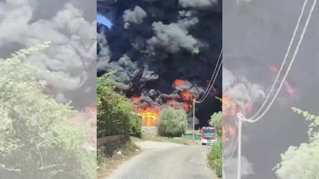 Le immagini del vasto incendio a Palmi