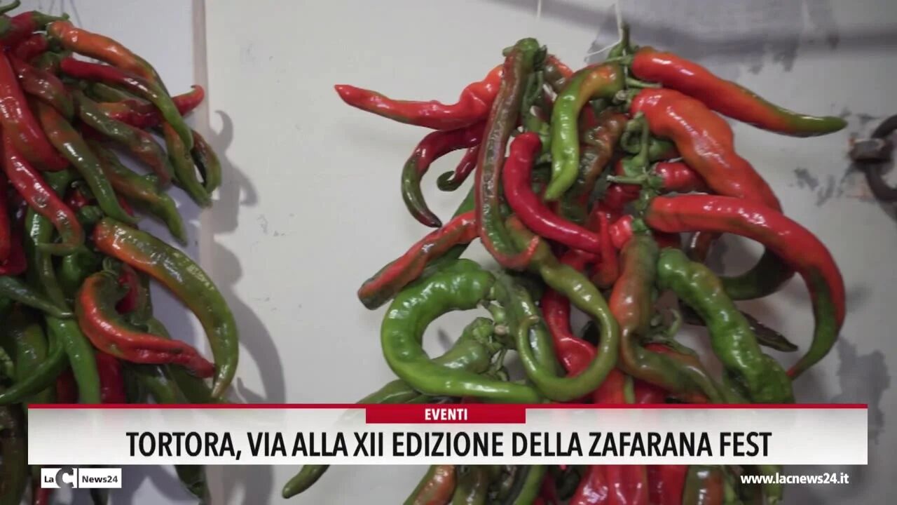 Tortora, via alla XII edizione della Zafarana Fest