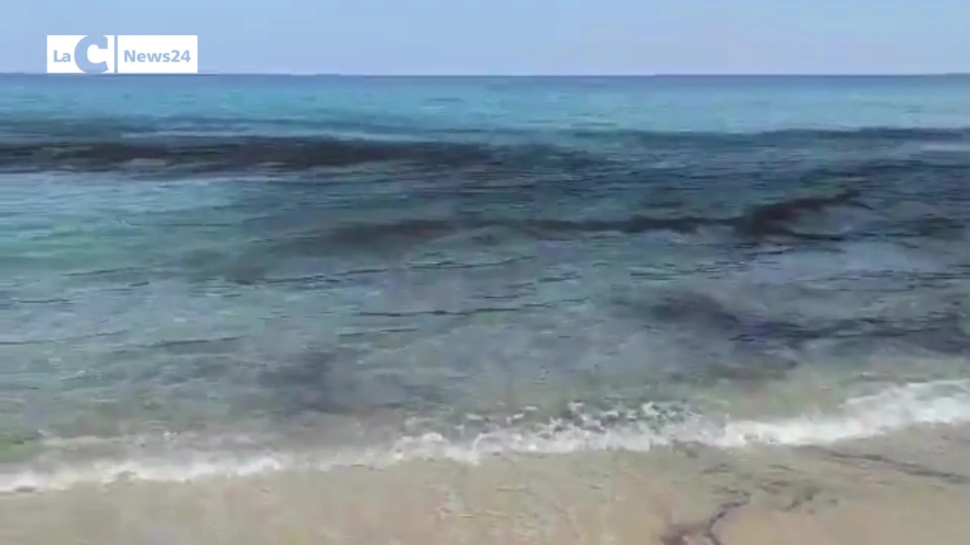 Chiazze nere in mare e sulle spiagge, turisti allarmati ma l’esperto rassicura