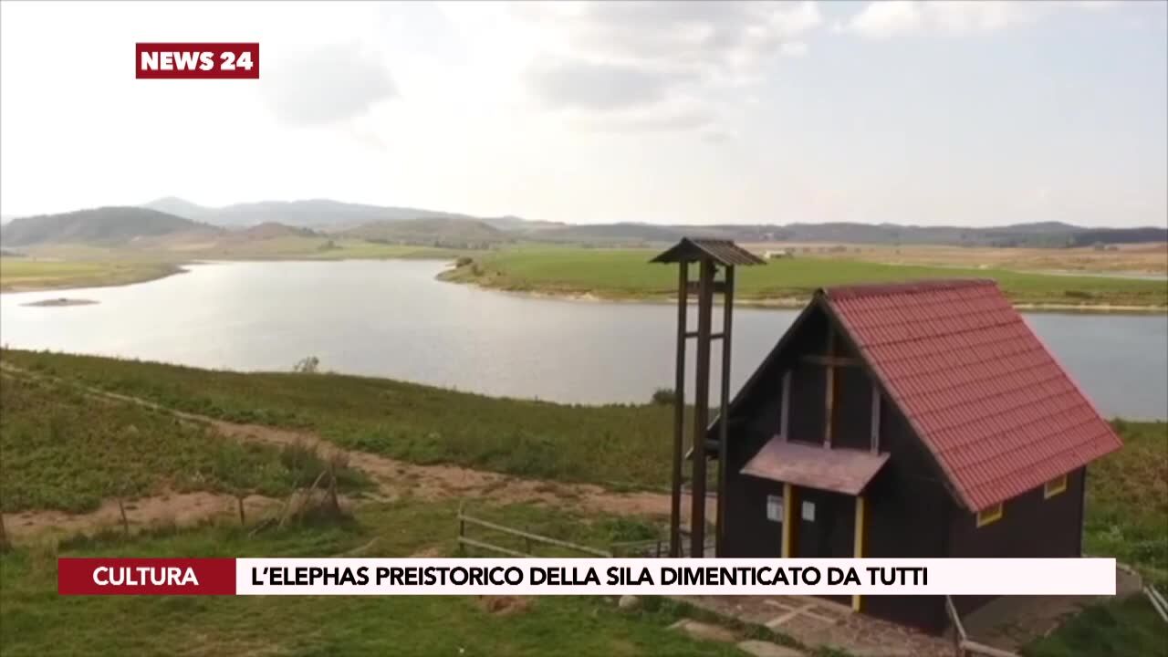 L’Elephas preistorico della Sila dimenticato da tutti