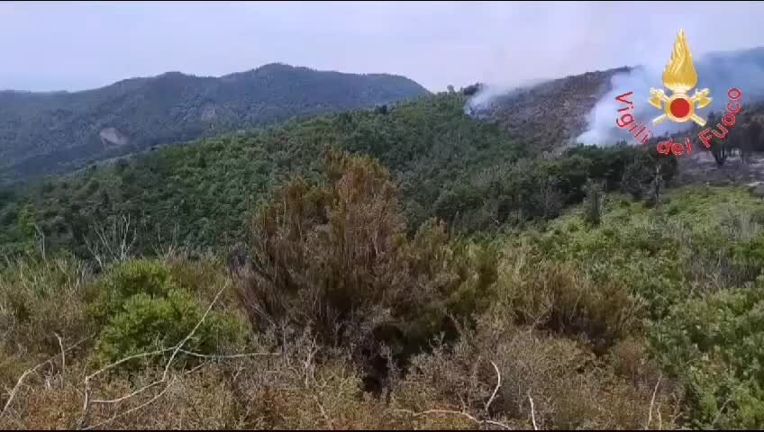 Incendi boschivi nel Catanzarese