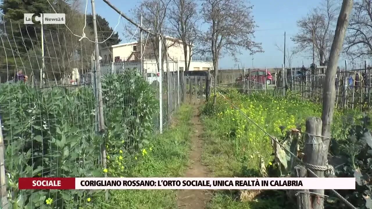 Corigliano Rossano l’orto sociale, unica realtà in Calabria