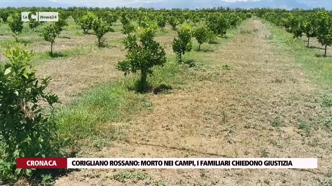 Corigliano Rossano: morto nei campi, i familiari chiedono giustizia