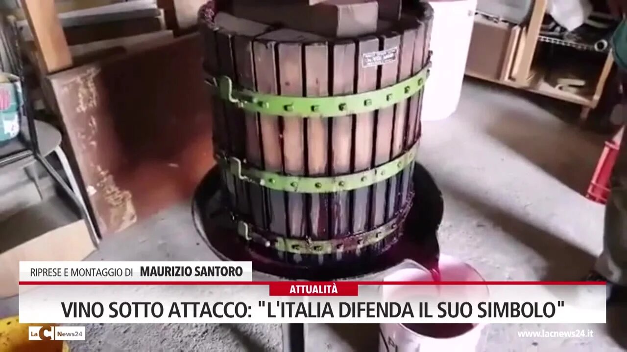 Vino sotto attacco: \"L'Italia difenda il suo simbolo\"