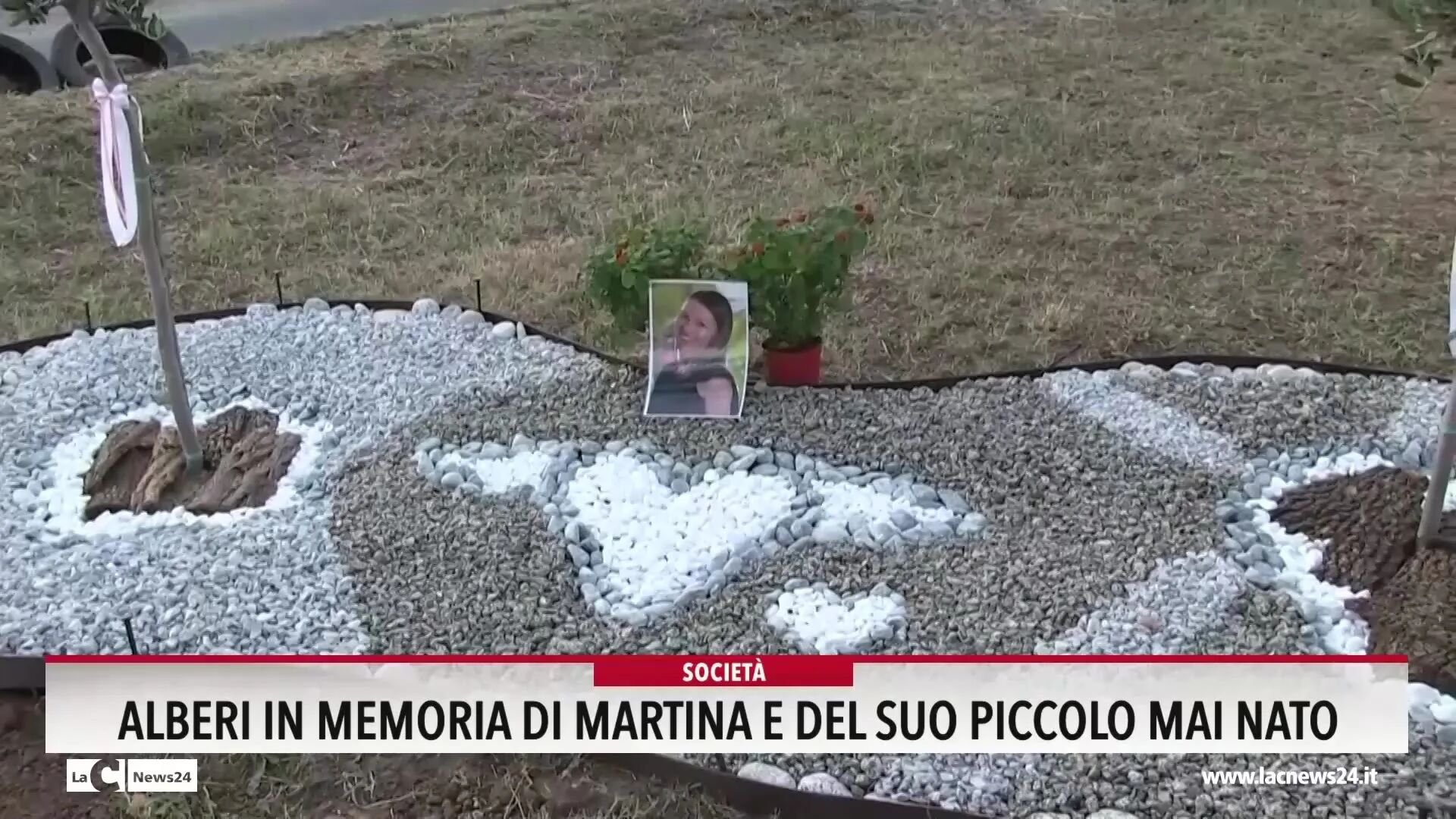 Alberi in memoria di Martina e del suo piccolo mai nato