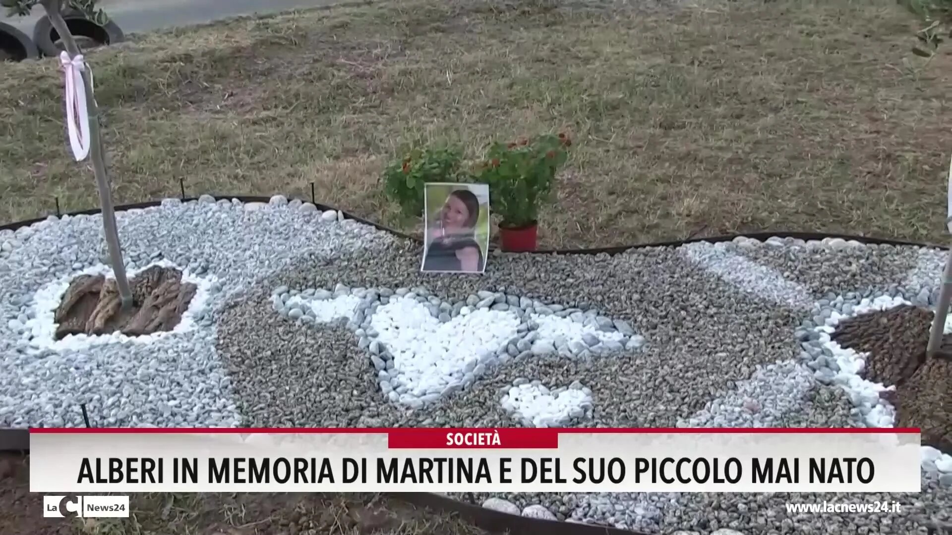 Due alberelli di ulivo in memoria di Martina e di suo figlio mai nato: Filandari ricorda la 32enne morta allo Jazzolino - VIDEO