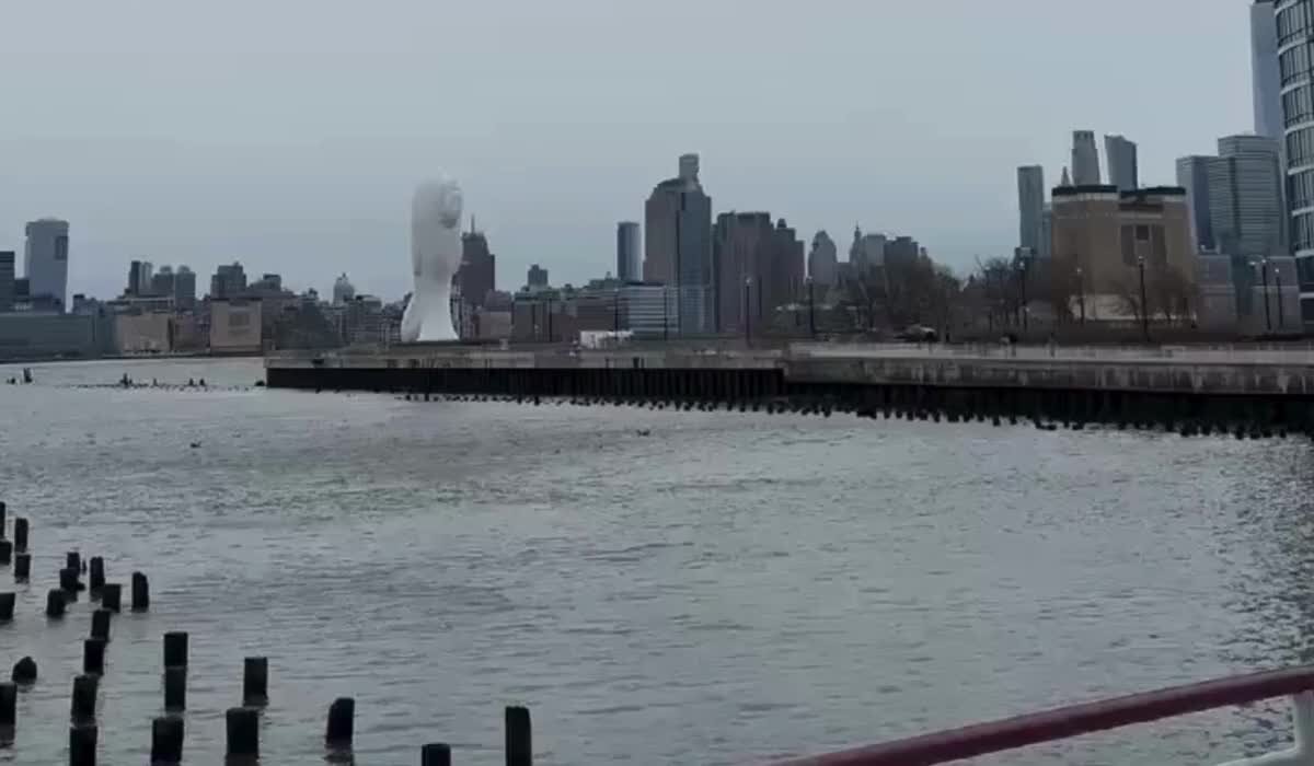 Elicottero precipita nel fiume Hudson a New York, morto dirigente di Siemens | VIDEO