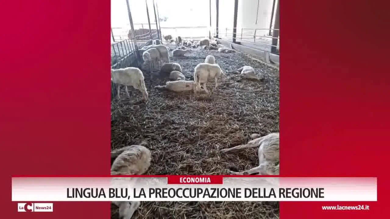 Lingua blu, la preoccupazione della Regione