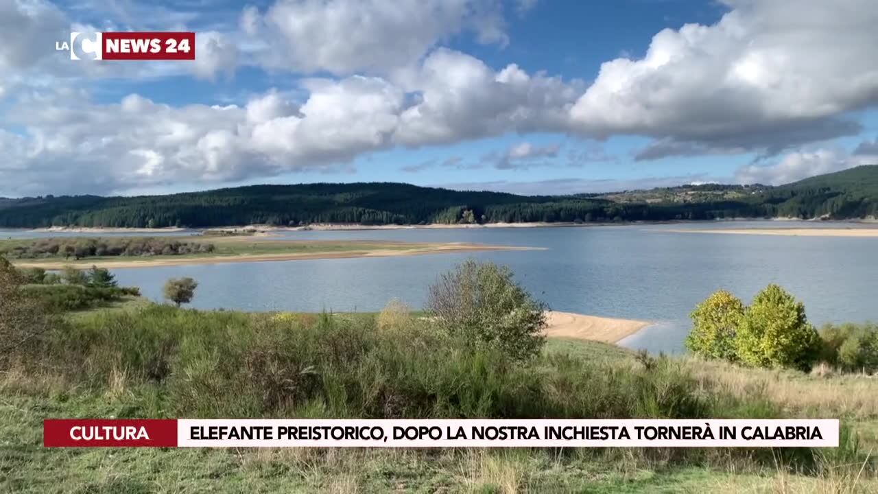 Elefante preistorico, dopo la nostra inchiesta tornerà in Calabria